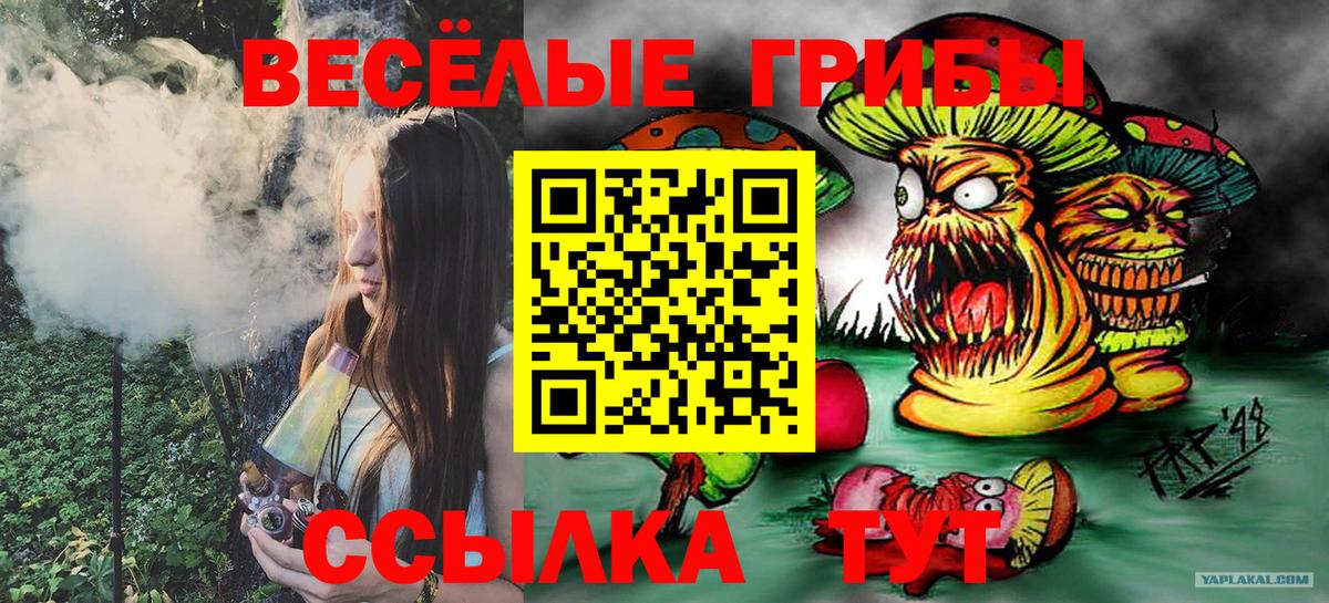 Псилоцибиновые грибы Magic Shrooms  Галлюциногенные грибы мицелий  Новоуральск  Вход с VPN 