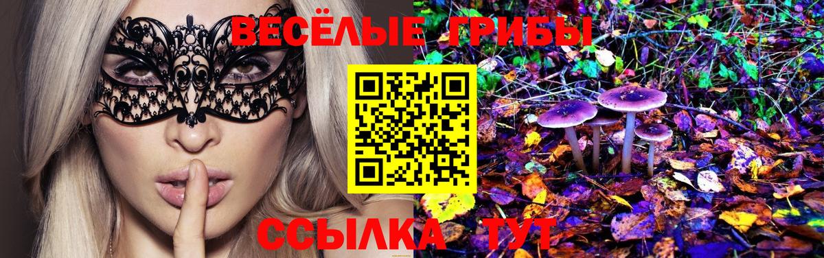 Псилоцибиновые грибы мицелий Новоуральск